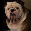Chunk